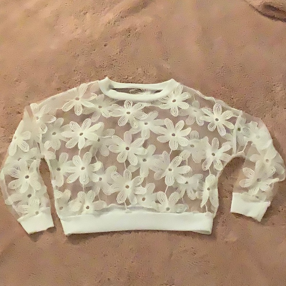 Cropped sheer white floral embroidered top.